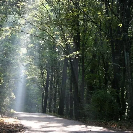 Residenza Borgo 9 * Collecchio