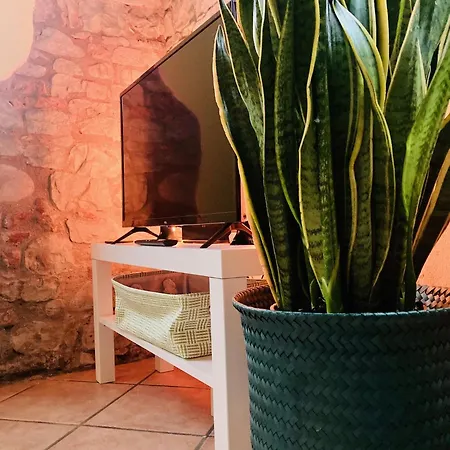 Residenza Borgo 9 * Collecchio