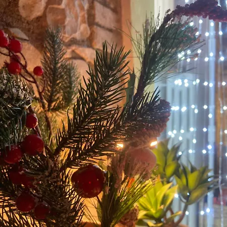 Apartment Residenza Borgo 9 *