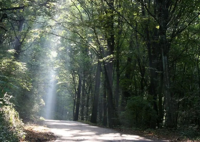 Residenza Borgo 9 * كولّيكْيو