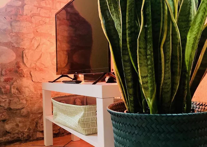 Residenza Borgo 9 * كولّيكْيو